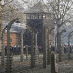 El video del Holocausto en números y los testimonios de los Testigos de Jehová